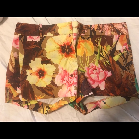 J. Crew Pants - J Crew Shorts